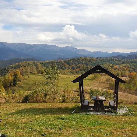 La Odai Bran  Exteriör bild