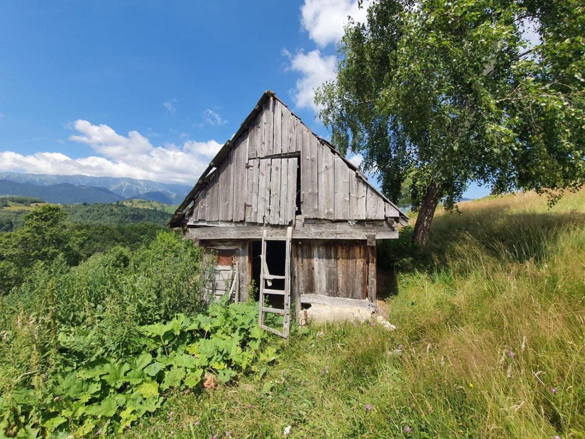 La Odai Bran  Exteriör bild