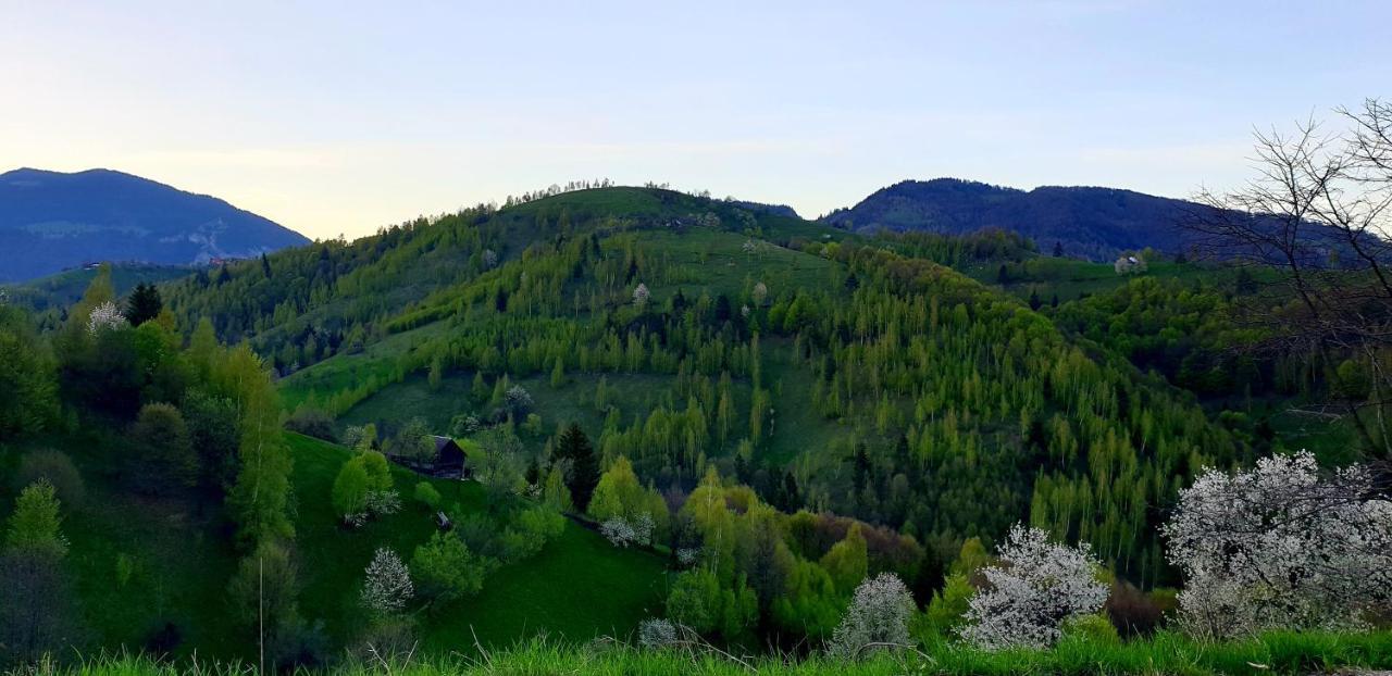 La Odai Bran  Exteriör bild