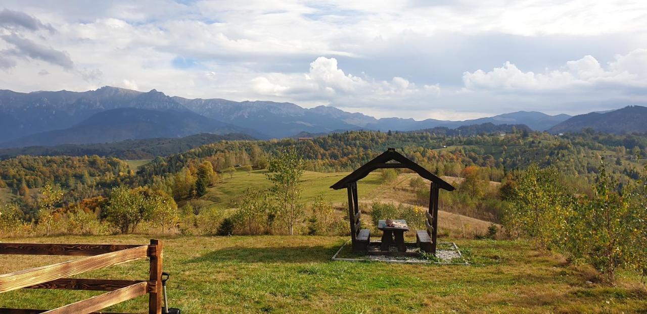 La Odai Bran  Exteriör bild